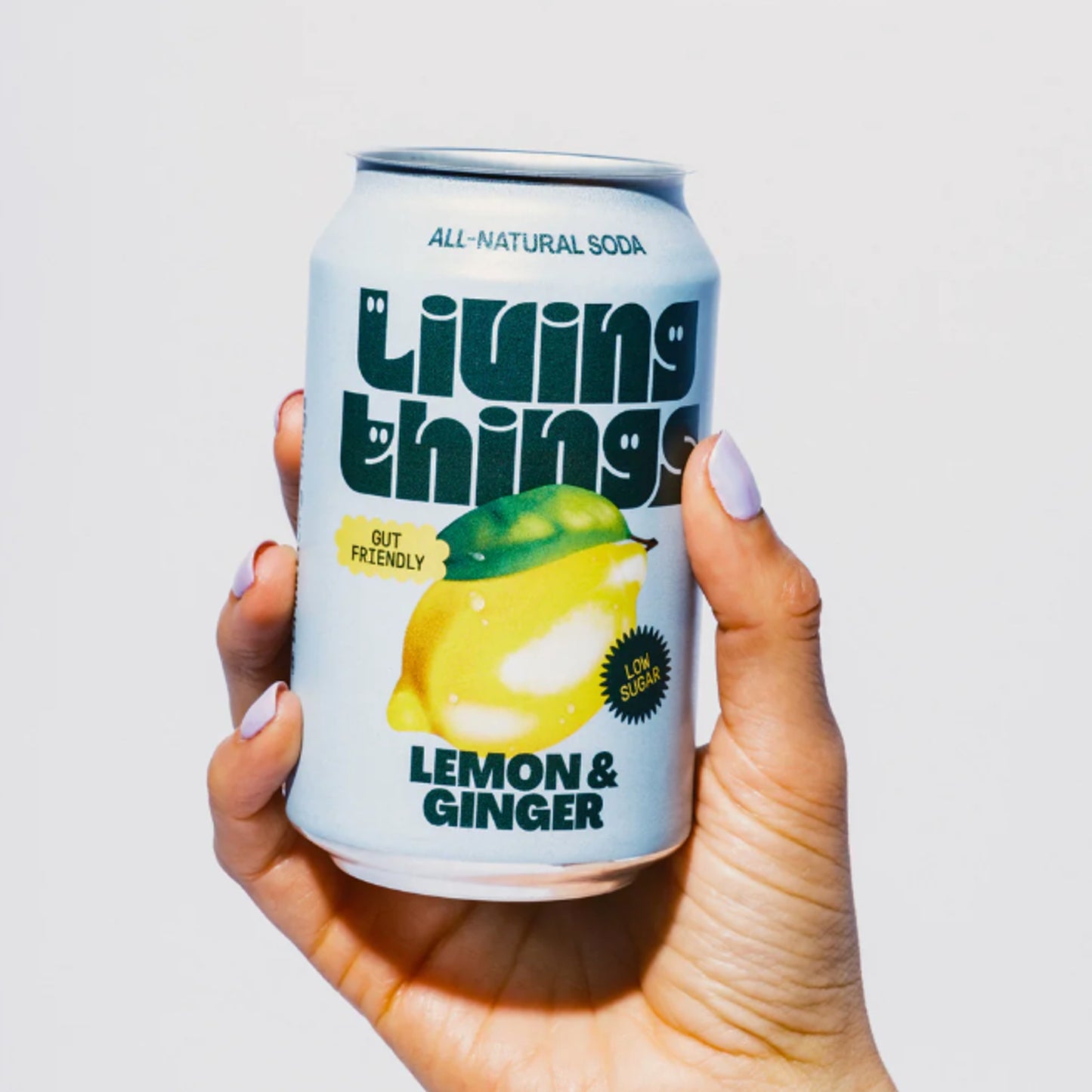 Lemon Ginger Soda