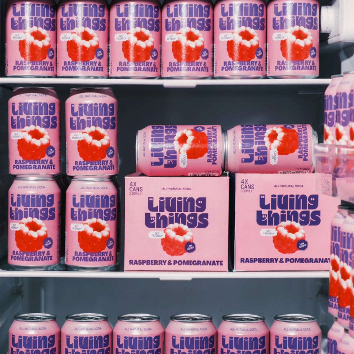 Raspberry & Pomegranate Soda