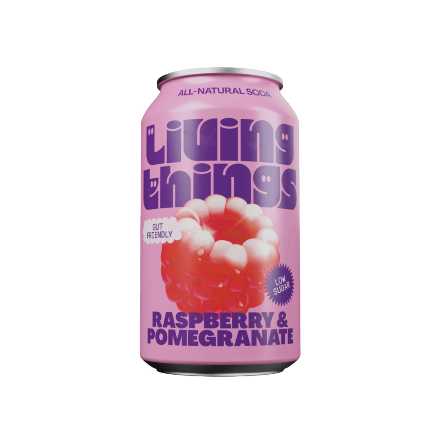 Raspberry & Pomegranate Soda