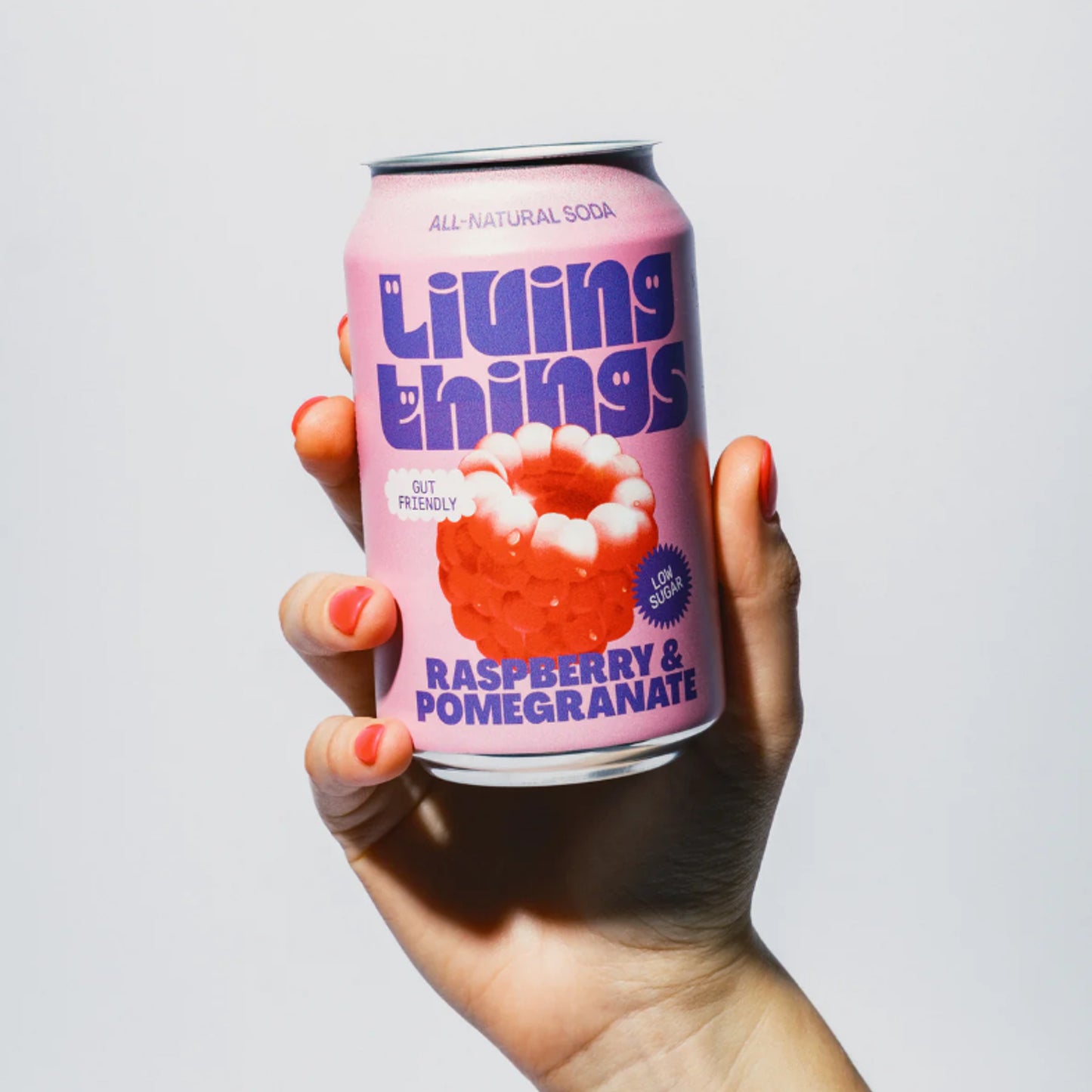 Raspberry & Pomegranate Soda