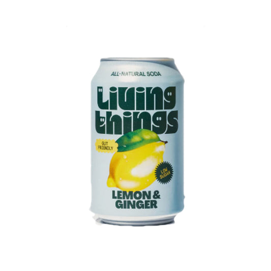 Lemon Ginger Soda